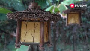 西瓜视频独家签约创作人阿木爷爷，被央视新闻联播点赞了