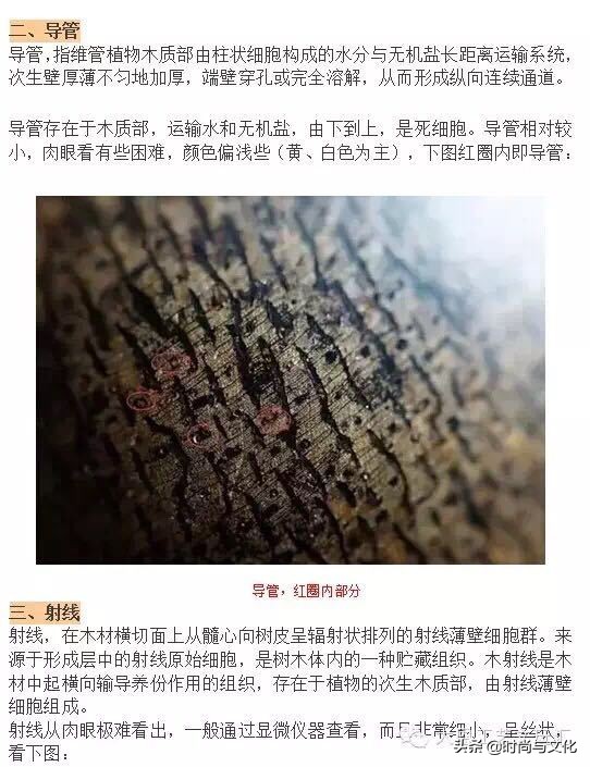 伍佰艺沉香真假鉴别,沉香手串鉴别真假沉香