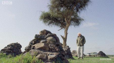 bbc封神,让很多人看一次哭一次的视频