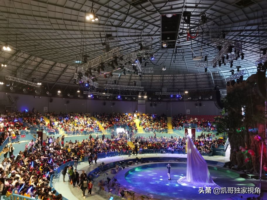 不一样的南通动物园,南通森林野生动物园和上海动物园