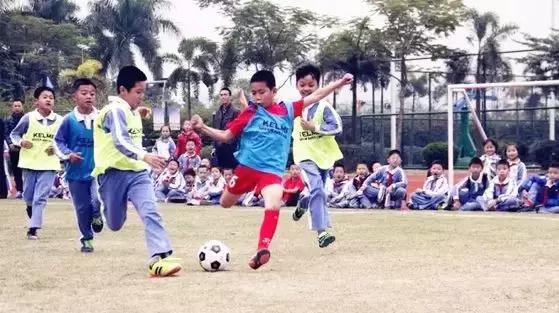 坪山区校园足球联赛,坪山国家足球队