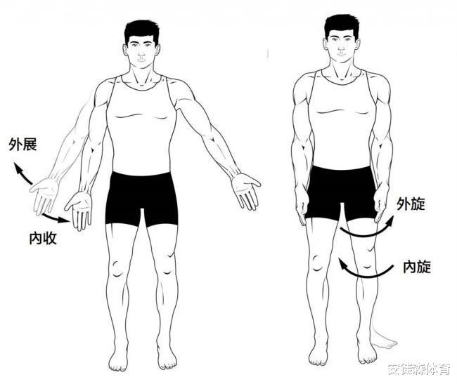 伸展拉筋的正确方法,坚持每天拉筋运动的好处