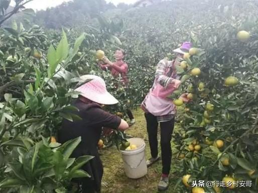 厌倦了打工那就开始创业吧,不想打工了有没有什么赚钱的办法