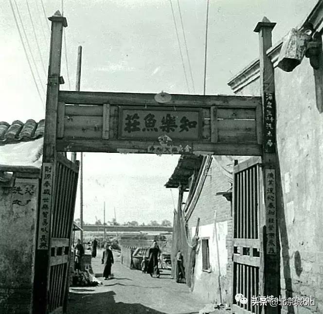 老北京养金鱼的讲究,老北京瓦盆养金鱼