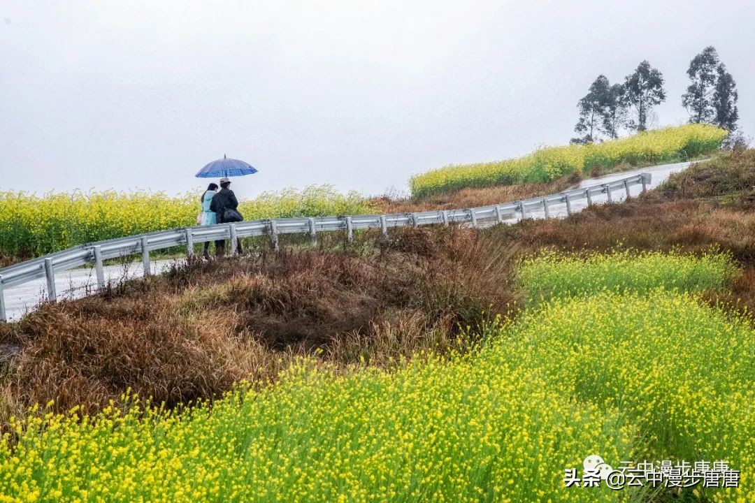 岳池坪滩风景区,行走的风景岳池