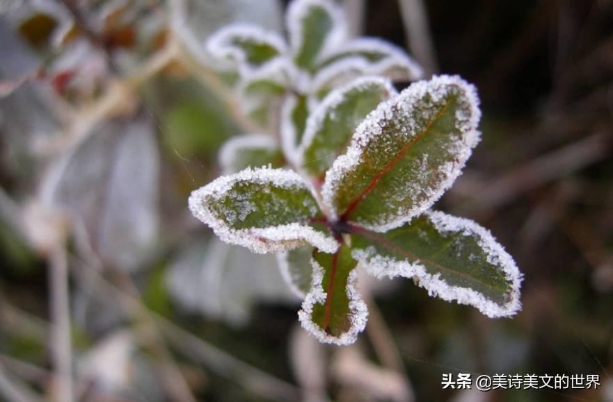 李白的飞流直下三千尺是多少米,白发三千丈是李白什么时期写的