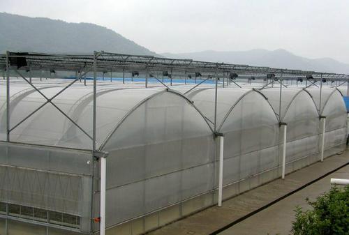 单栋温室大棚造价多少钱一亩,绥化薄膜温室大棚造价一亩多少钱