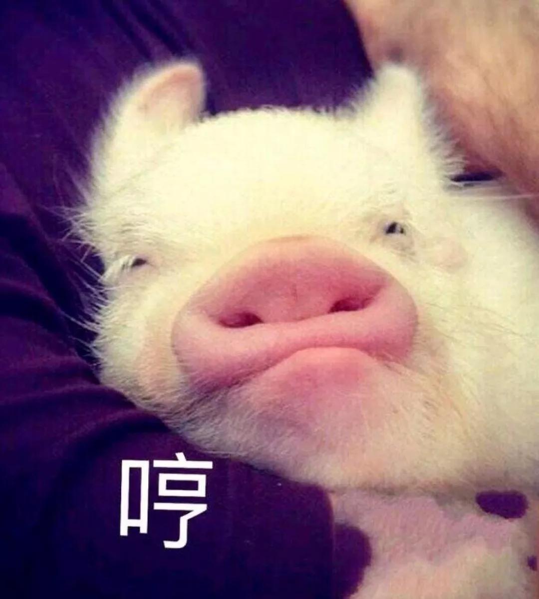 讲起抗疫故事,听战疫故事