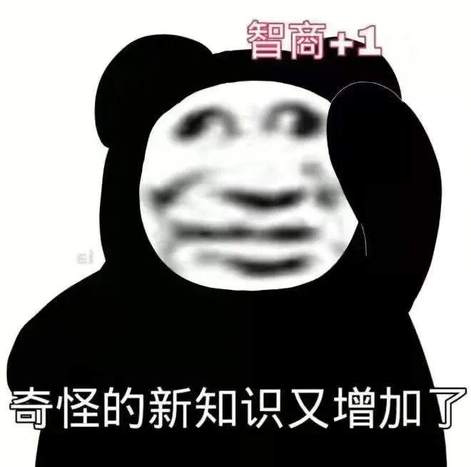沙雕动画制作教程,沙雕小废柴