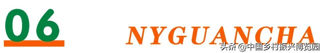 乡村振兴产业方面存在的问题,乡村数字化建设赋能产业振兴