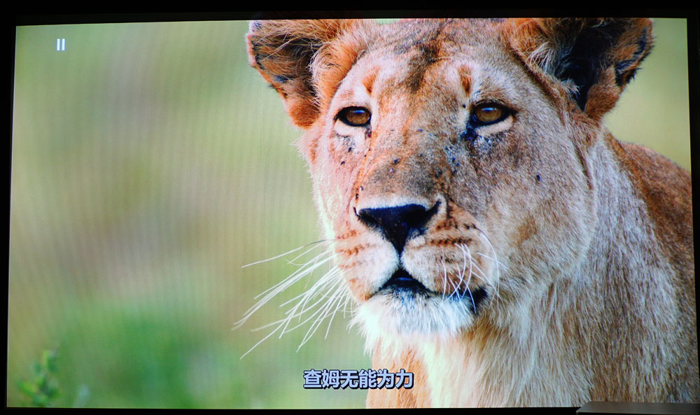 马兰士sr7013支持杜比视界吗,马兰士影院功放哪几款最经典