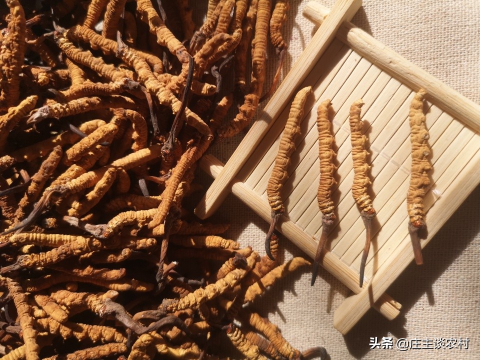 十大顶级土豪食材,世界最昂贵的十大食材排行榜