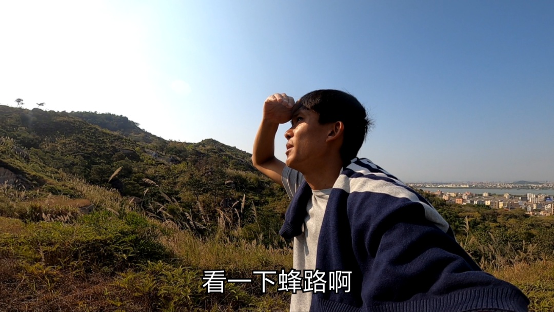 发现野蜂如何引野蜜蜂入巢,野外看到一窝蜜蜂招蜂最佳方法