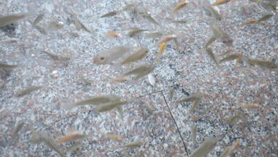 普宁盘龙湾私人温泉,潮汕温泉度假村排名榜