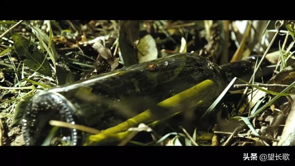 相遇：流落荒岛的男人VS*窥偷**世界的女人