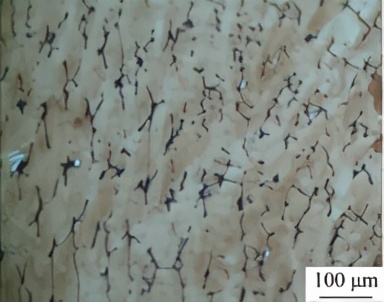 奥氏体不锈钢温度对塑性的影响,奥氏体不锈钢与碳钢焊接热处理