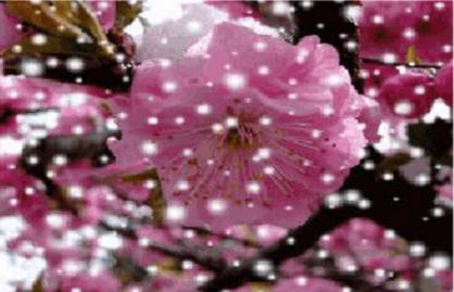 原创诗歌致敬,原创诗歌雪景