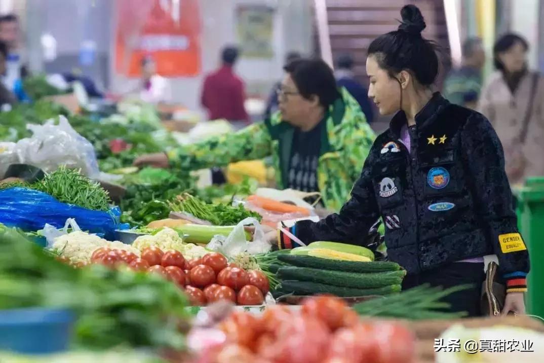 蔬菜代销的存在的问题,蔬菜市场代卖有什么风险吗