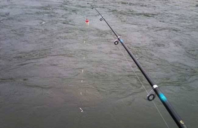 海竿串钩正确钓法图解,海竿串钩的正确使用方法钓海鱼