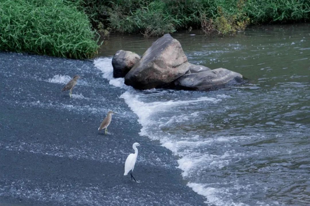 深圳10大旅游好去处,深圳盐田区周末休闲浪漫好去处