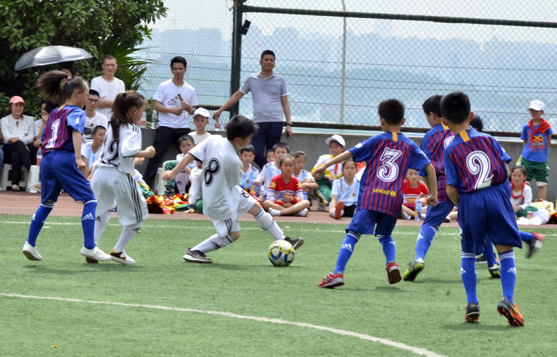北大资源鲤鱼池小学视频,北大资源鲤鱼池小学图片