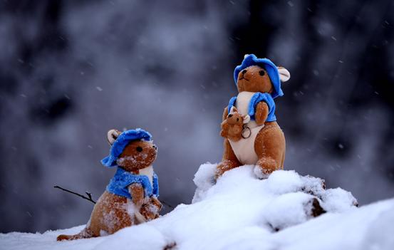 世界上最贵的东西1克值2亿元,世界最贵的东西是什么