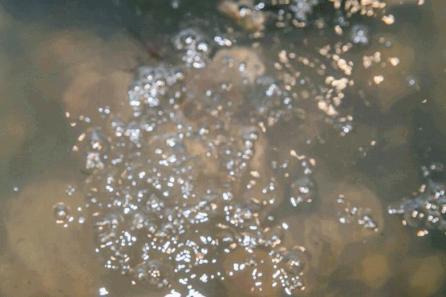 老板疯了18元自助火锅,老板疯了吃火锅继续八折优惠