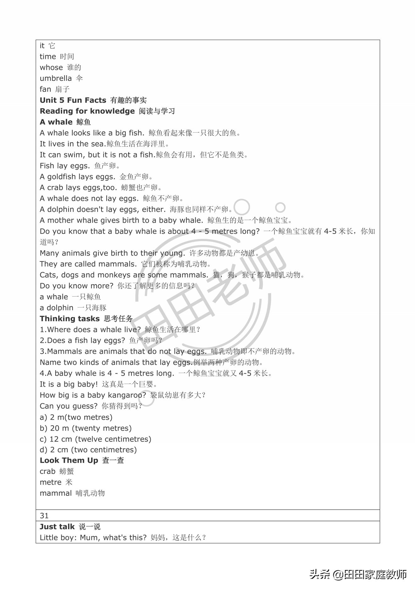 英语五年级上册正版所有课文翻译,五年级上册英语第五单元课文译文