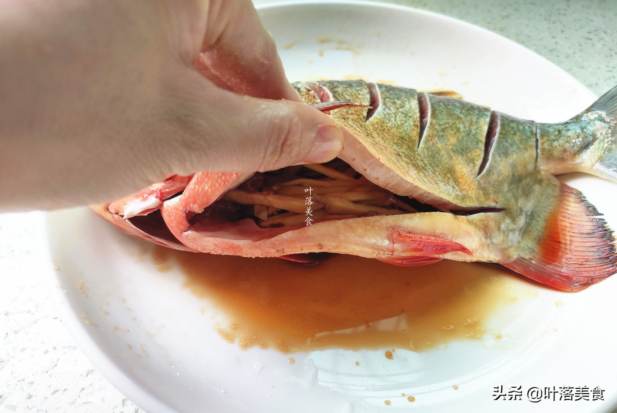 清蒸红鲳鱼做法家庭版,清蒸红鲳鱼的配方