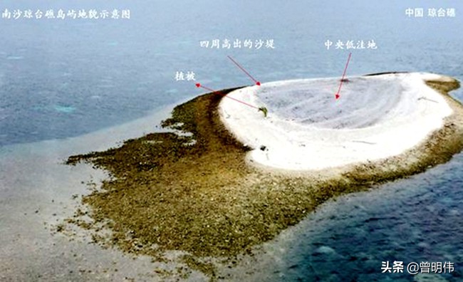 本内苏铁灭绝于白垩纪时期，南沙群岛琼台礁发现一株，纯属误传