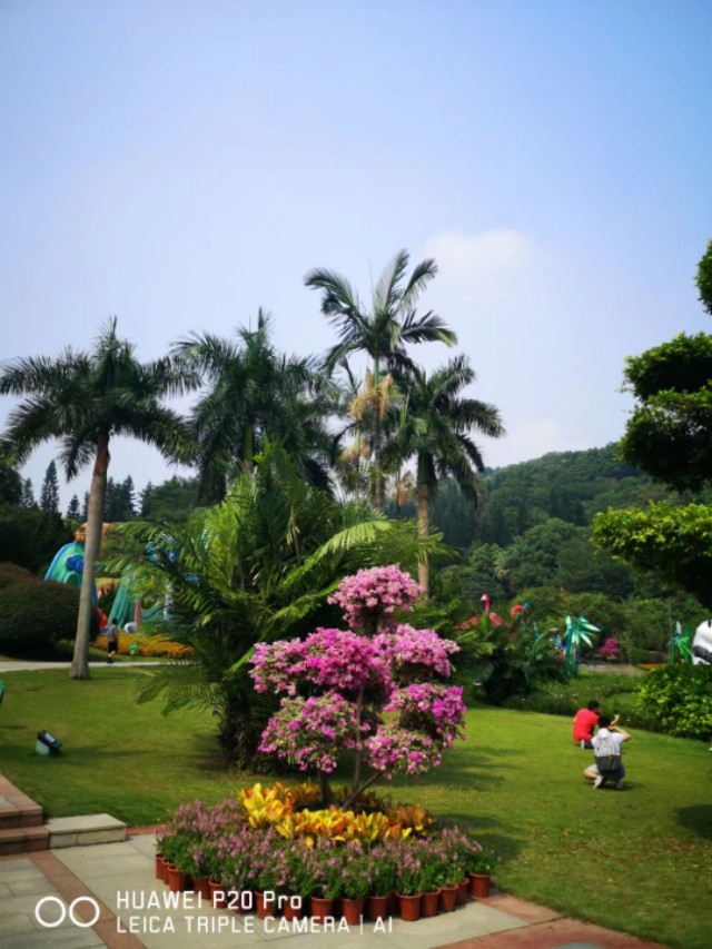 广州云台花园花展,广州云台花园咋样