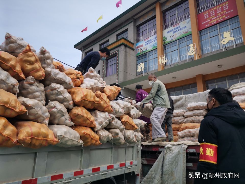 鄂城区采购,鄂城食材配送
