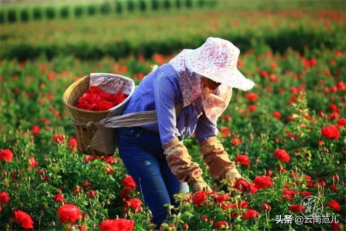 昆明周边五一去哪里,五一昆明周边搭帐篷