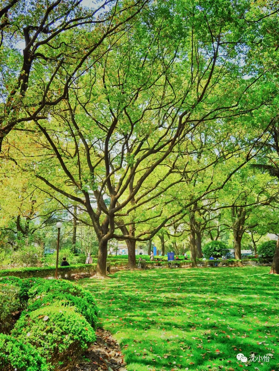 离死亡最近的一次是什么感觉,离死亡很近是什么感受