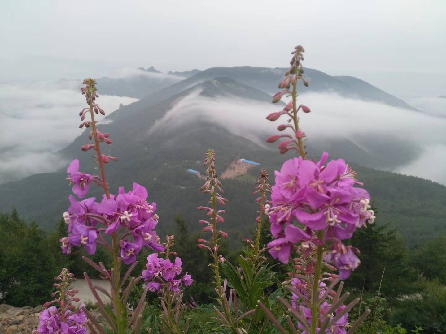 雾灵山内住宿推荐,雾灵山在山上住宿最佳方案