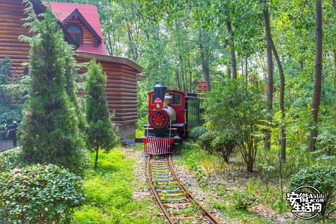 合肥最美的春天景点,合肥春天有哪些好玩的景点