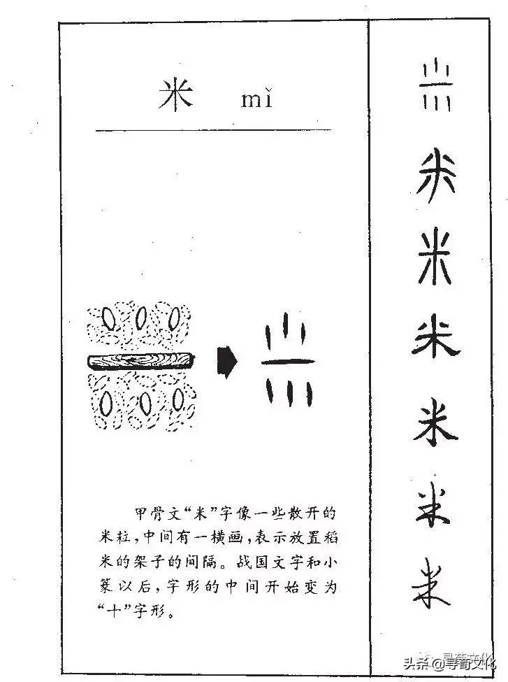 百家姓汉字艺术,汉字的艺术与中华姓氏文化