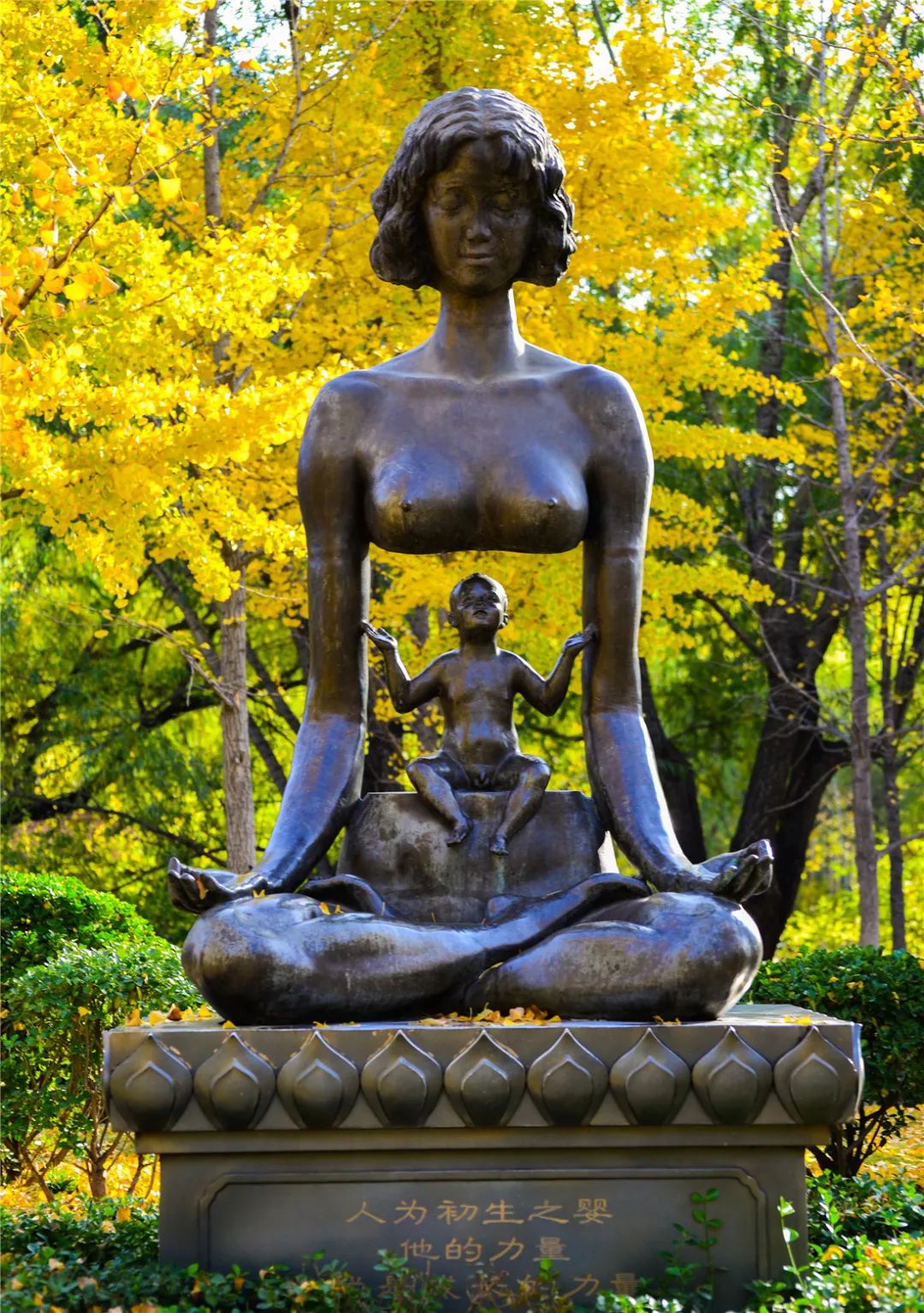 济南森林公园雪景,济南最美森林公园