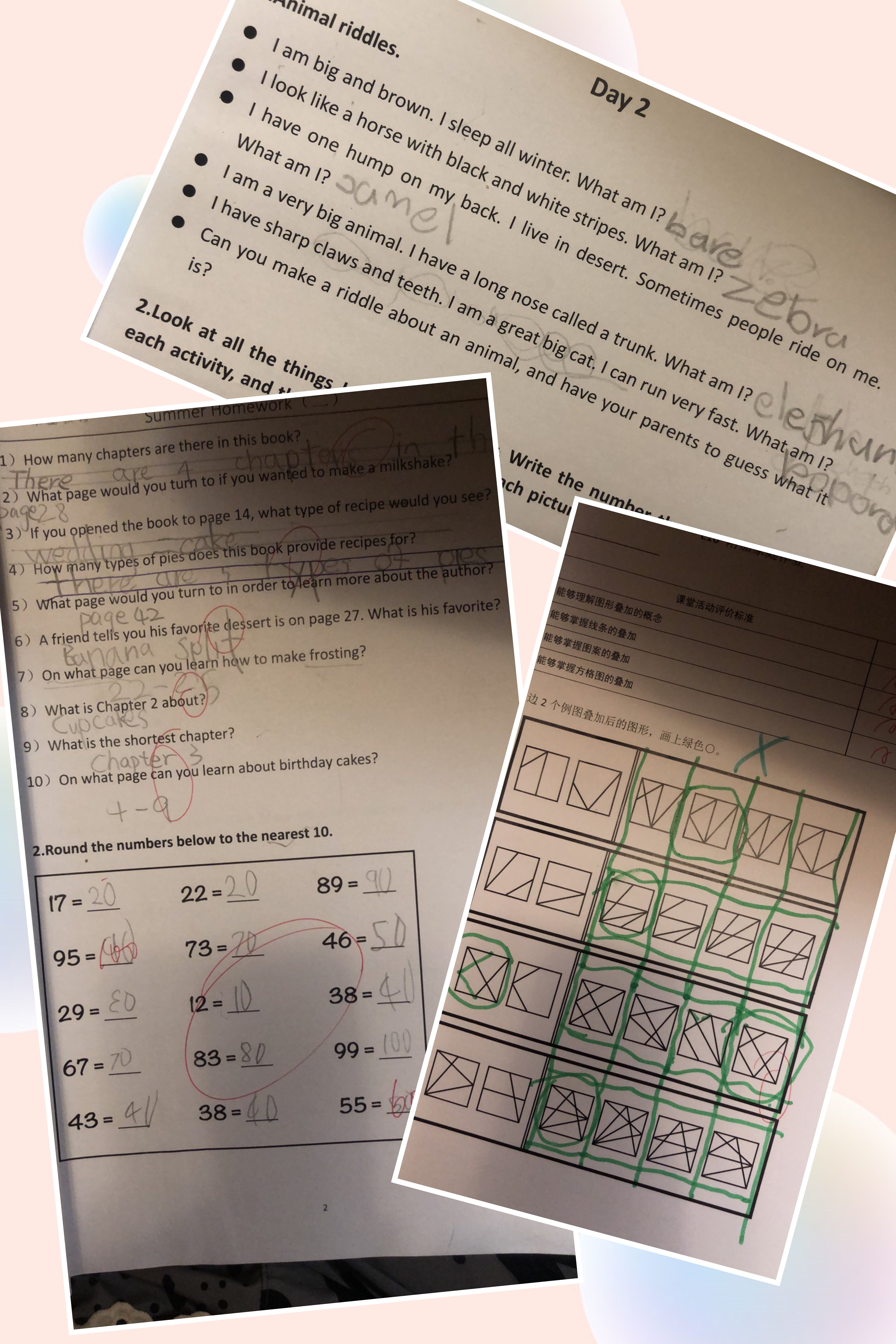 电视剧都不敢这么演，复盘2020上海老刺激的升学摇号（全网首发）