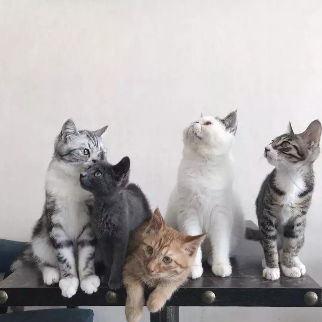 汉中饮品奶茶店,汉中奶茶店图片