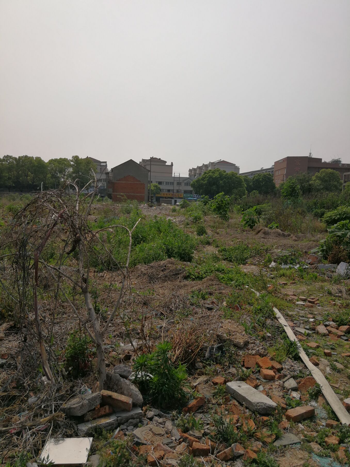 江阴锡澄运河的历史,锡澄运河老照片