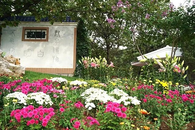 大连重阳节旅游攻略,大连九月秋游攻略