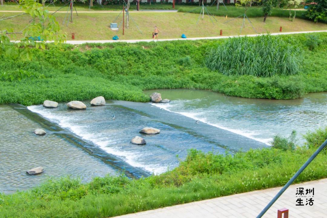 西丽富人区是真的吗,西丽富人区住宅