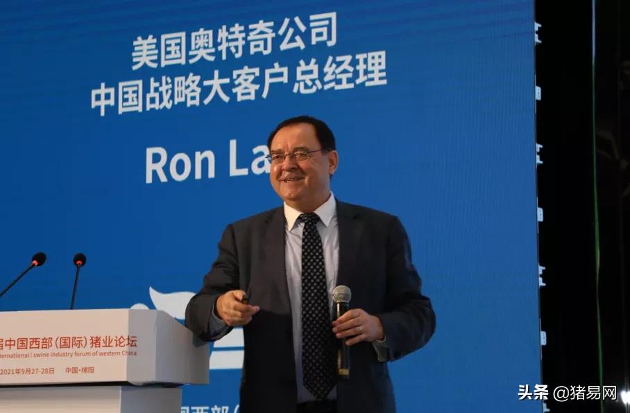 猪业发展趋势图,猪行业发展视频