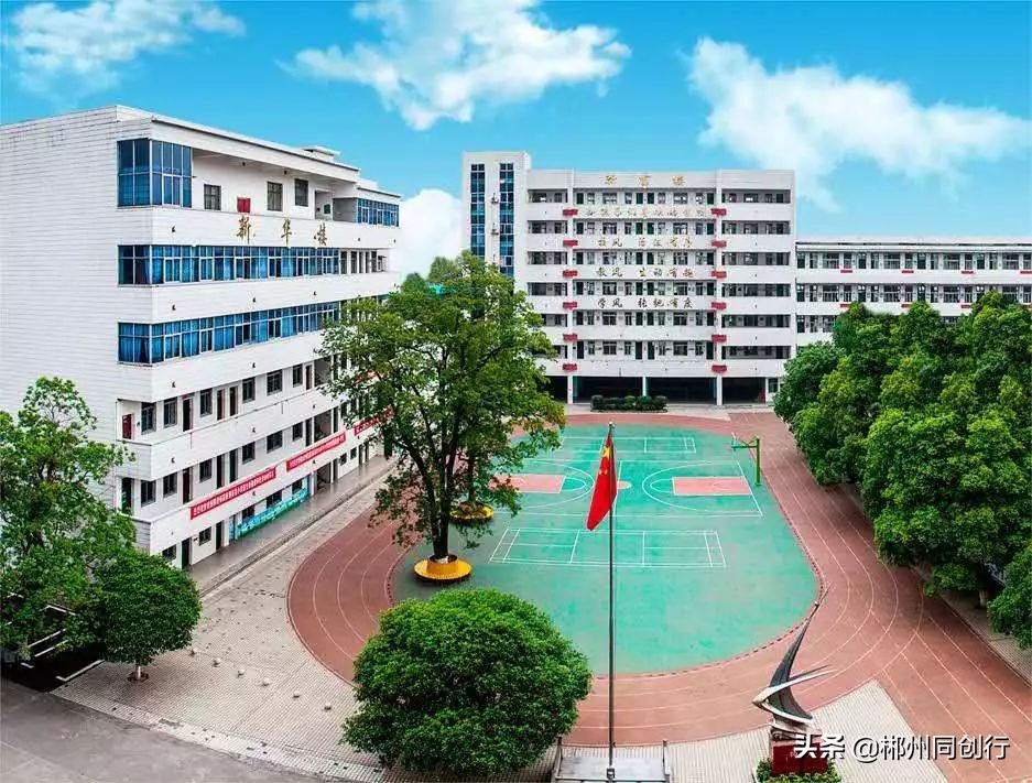 择校而居择优而邻,开学季选个靠谱的学区房