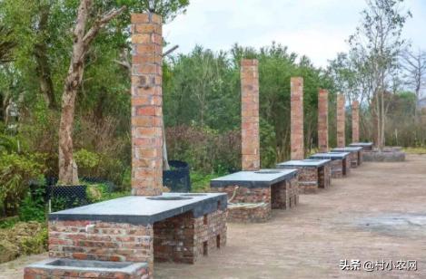 农业农村创业风口项目有哪些,适合农村的小本生意农业创业项目