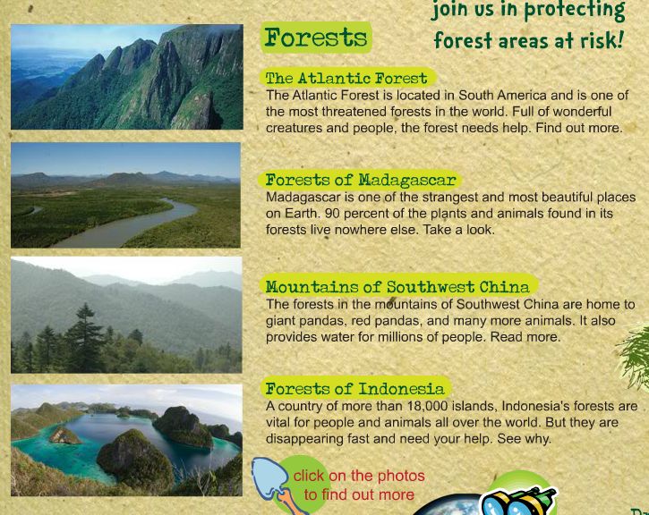 每天都要回答孩子的十万个为什么,面对孩子的十万个为什么怎么回答