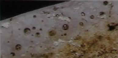 现代汝窑的最全鉴定方法,汝窑的最全鉴定方法