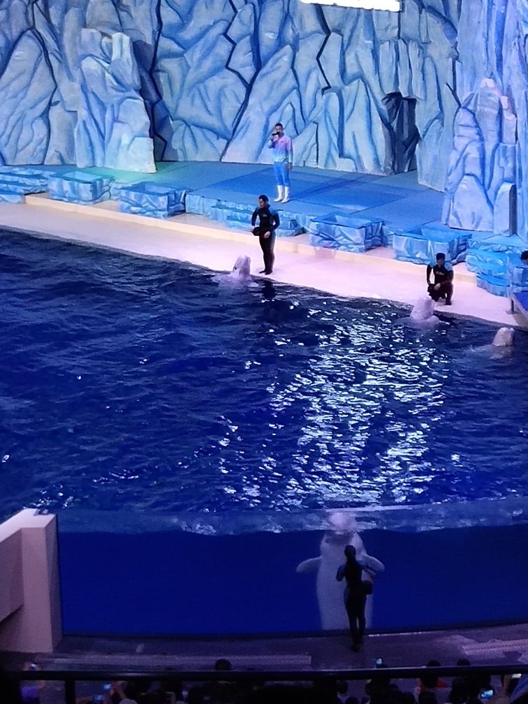 珠海长隆海洋王国一天路线图,珠海长隆海洋王国一日游详细攻略