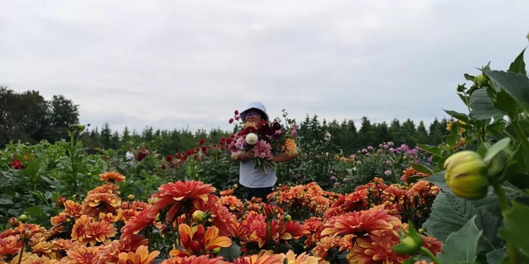 建一座完全不打药的生态花园，所有生命在这里和谐共处，值得收藏